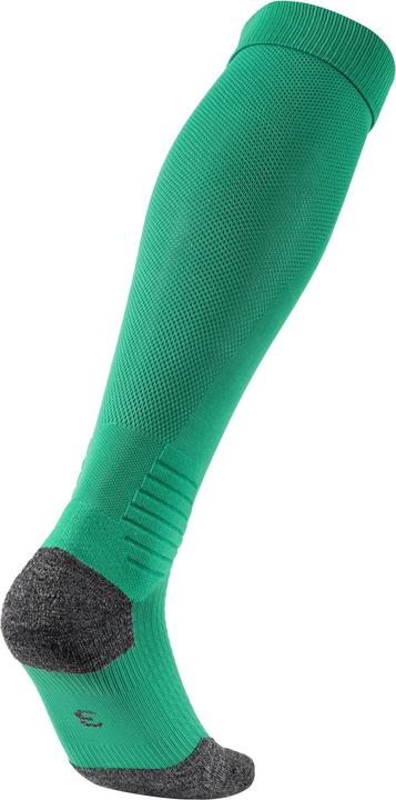 Actual product image Puma Team LIGA Socks-703438 (43, 47)