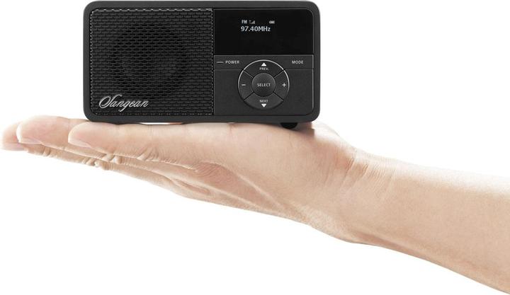 Immagine prodotto Sangean DDR-7X (DAB, FM, Bluetooth)