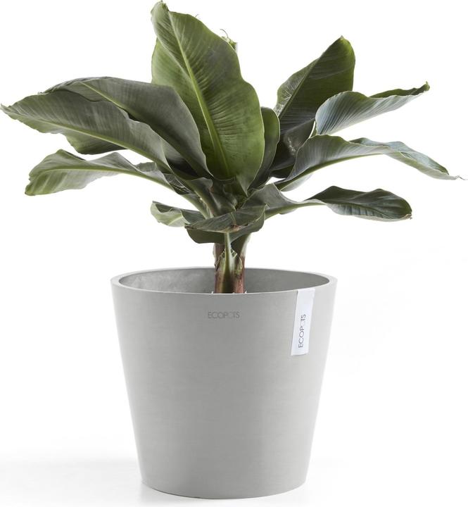 Produktbild Ecopots Amsterdam + Wasserbehälter (30 cm)