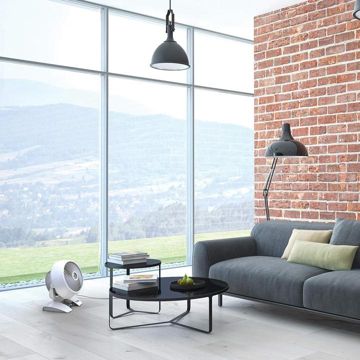 Immagine prodotto Vornado 6303dc