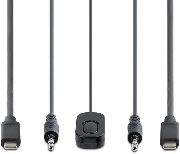 Immagine prodotto StarTech C2-D46-UC2-CBL-KVM