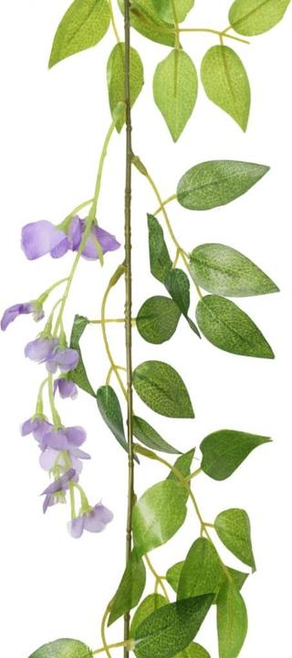 Immagine prodotto vidaXL Kranz