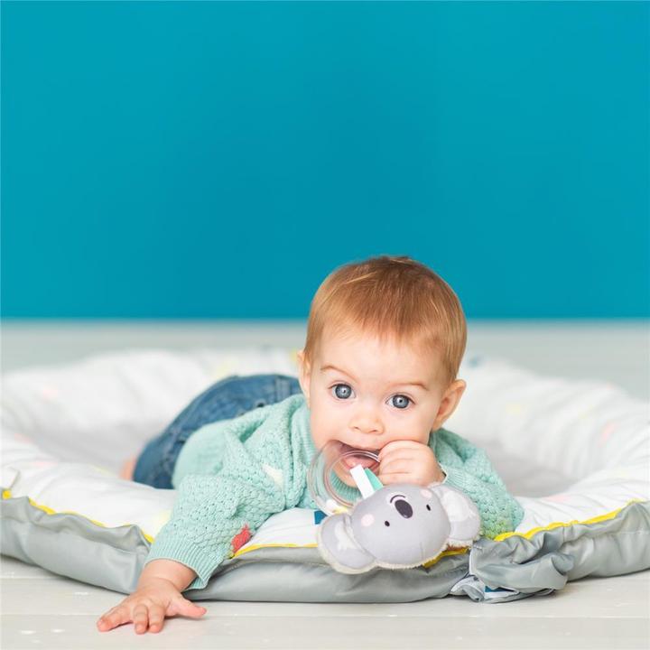 Immagine prodotto Taf Toys Kimmy il Koala