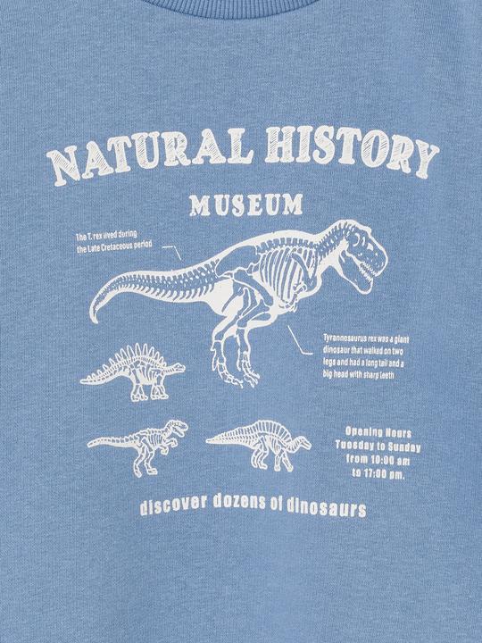 Produktbild Vertbaudet 2er-Pack Sweatshirts Cool & Fun Jungen (128)