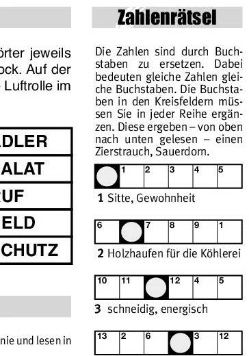 Produktbild Der grosse Rätselblock 42 (Deutsch, 2017)