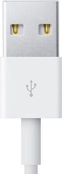 Actual product image Unit U-LMFI-1 (1 m)