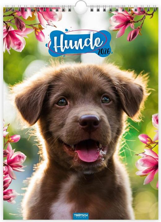 Produktbild Trtsch Classickalender Hunde 2026 (Spezial)