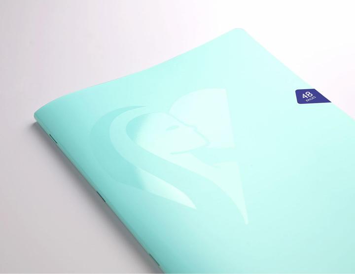 Actual product image Clairefontaine Mimesys Pastel, booklet (Soft cover)