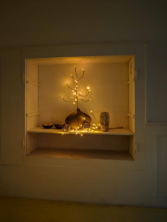 Image du produit STT Branche LED