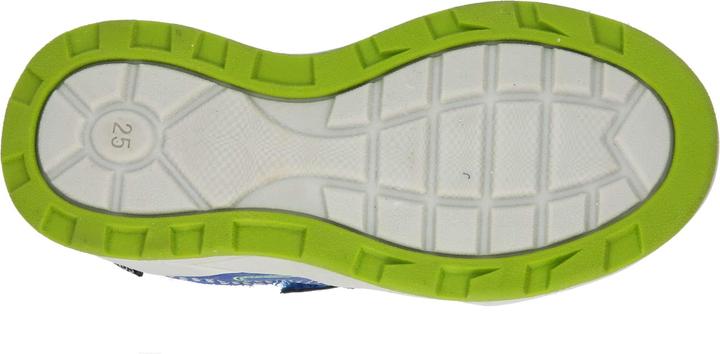 Actual product image Lico Ashoka V (32)