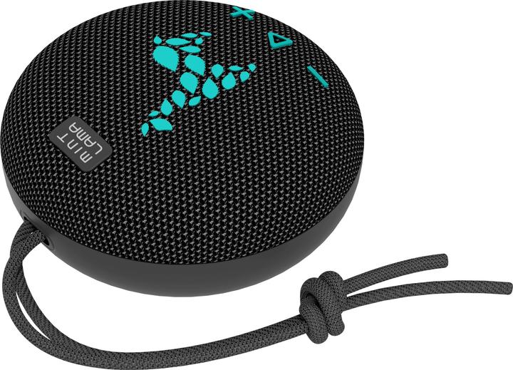 Actual product image Mint Lama Lamabeat 1 (4 h)