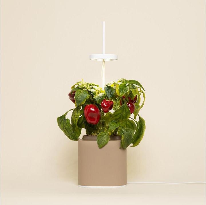 Actual product image Prêt à Pousser Herb Pot Nano, Sand Grey (13.50 cm)