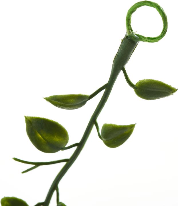 Produktbild Chaks Efeu-Girlande
