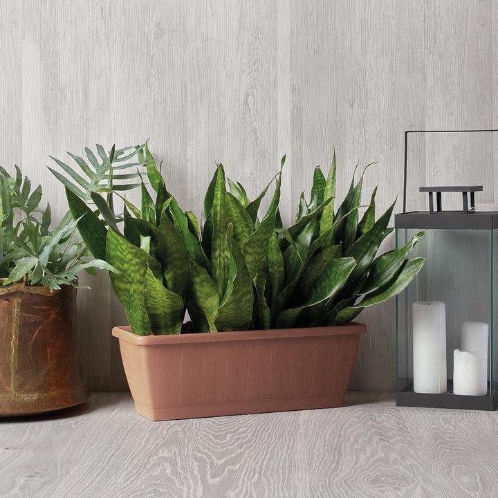 Produktbild Euro3plast Pflanzkasten Greener KEZAR, eckig, 80x20x18cm, aus recycelter Kunststoff in terra (19.50 cm)