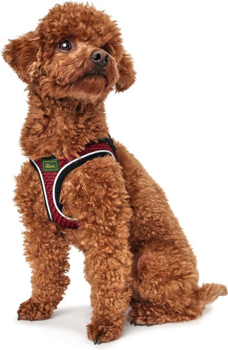 Immagine prodotto Hunter Imbracatura per cani Hilo Comfort (XXS, Cane, Generale)