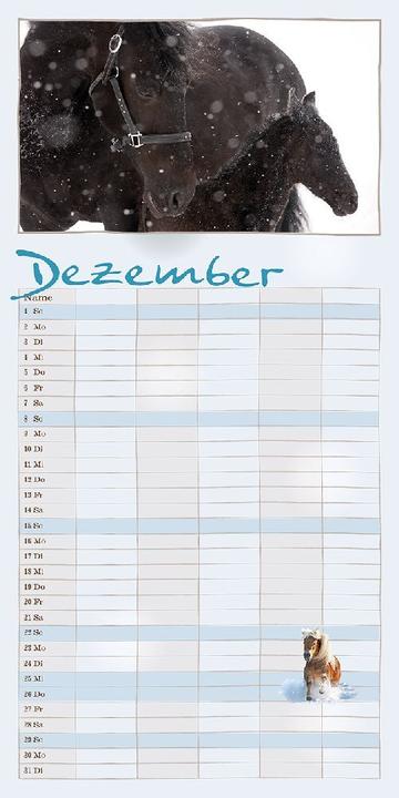 Actual product image Family planner horse 2025 (German)