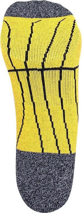Produktbild DRASSN Vohenstrauss Merino Short (42 - 44)