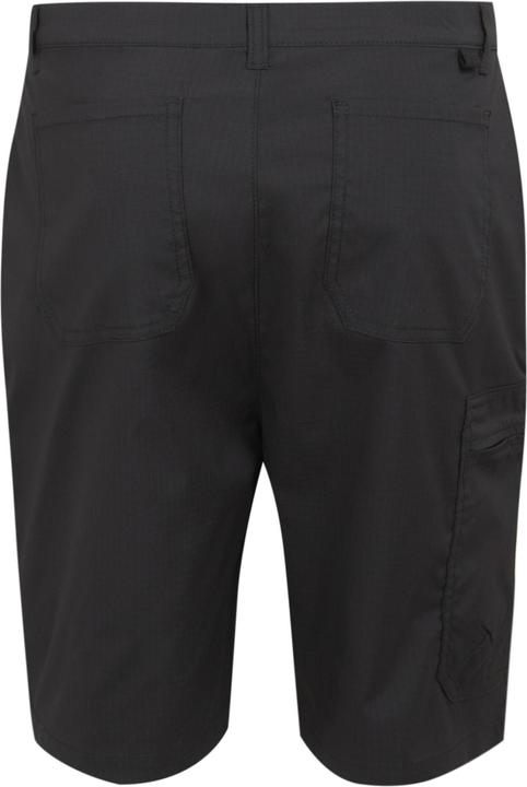 Actual product image Regatta Mens Dalry Multi Pocket Shorts (33)