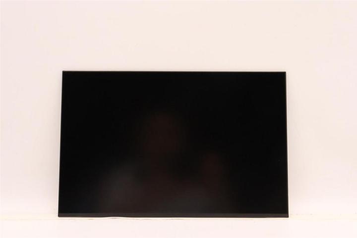 Lenovo DISPLAY FRUO AUO 13.3 WUXGA