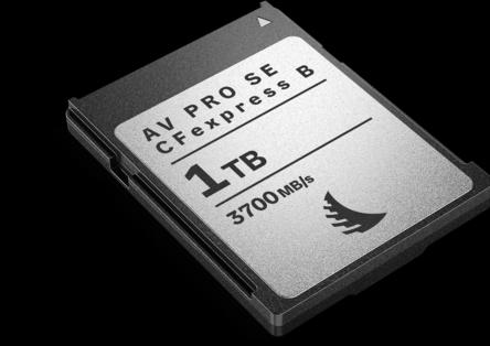 Actual product image Angelbird AV PRO SE CFexpress B (1000 GB, CFexpress type B)