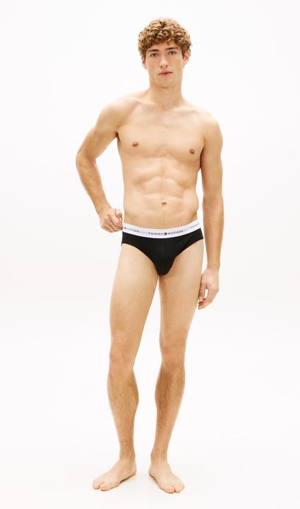 Immagine prodotto Tommy Hilfiger 3p Brief Wb (L)