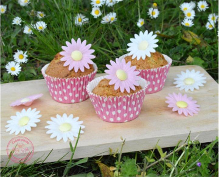 Actual product image ScrapCooking Daisies (1 x)