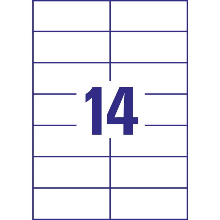 Actual product image Avery Universal labels