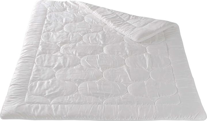 Actual product image DOR Begonia Classic (2000 g, 160 x 240 cm)