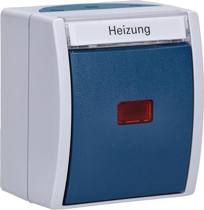 Actual product image Busch-Jaeger Heater emergency switch