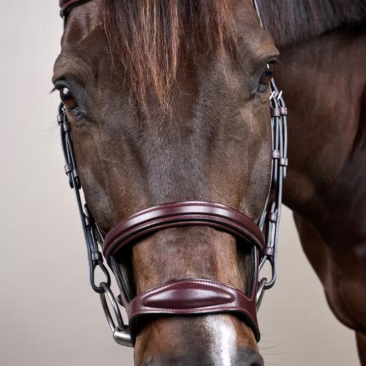 Image du produit Dy'on New English Collection