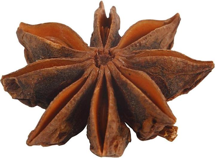 Image du produit Creativ Company Anis étoilé