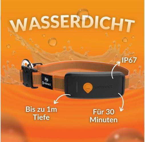 Image du produit Weenect Traceur GPS (XL, Chien, Général)