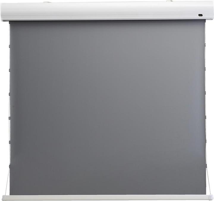 Image du produit Celexon HomeCinema (135", 16:9)