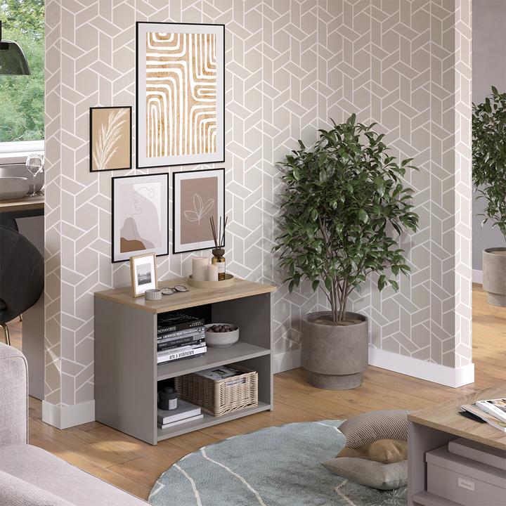 Actual product image Vicco Lowboard Wido, Greige/Sonoma, 60 x 50 cm mit 2 Fächern (60 x 50 x 40 cm)