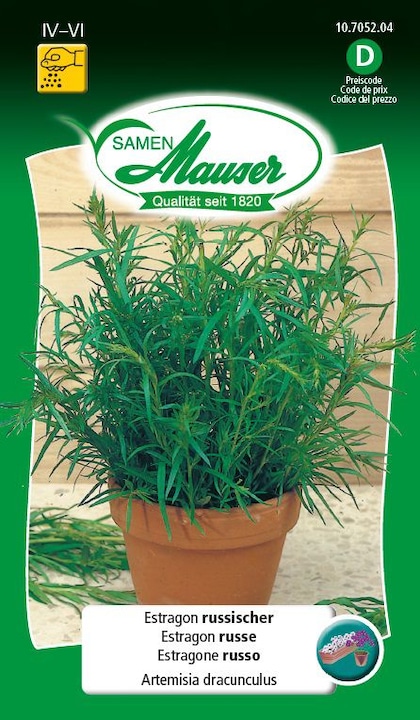 Samen Mauser Tarragon, Russian (Herb seeds)