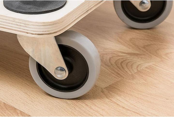 Productafbeelding Meister Transportrol (300 kg)