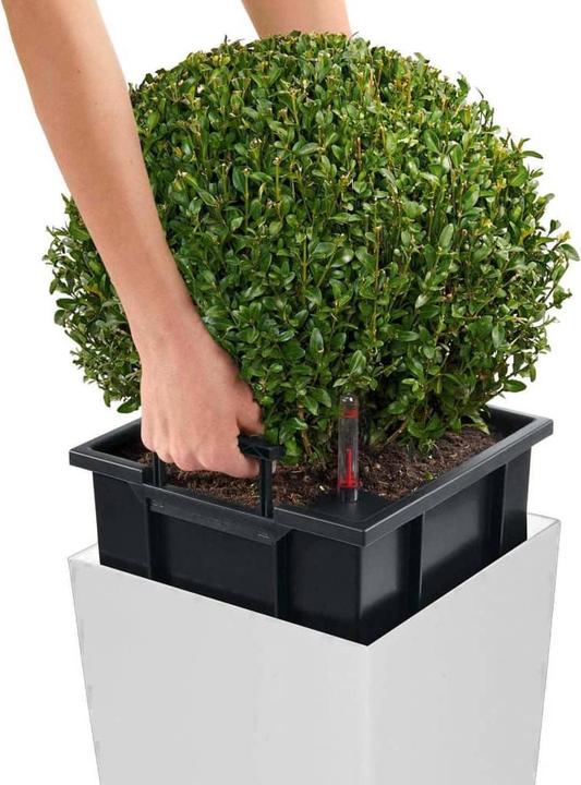 Produktbild Lechuza Cubico Color (29.50 cm)