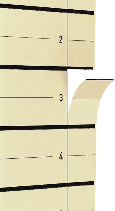 Actual product image Pagna 100 separator sheets A4 cham 230g