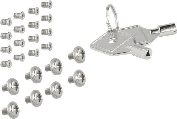 Actual product image Delock 5.25? removable frame for 4 x 2.5? U.2 NVMe SSD with lockable trays