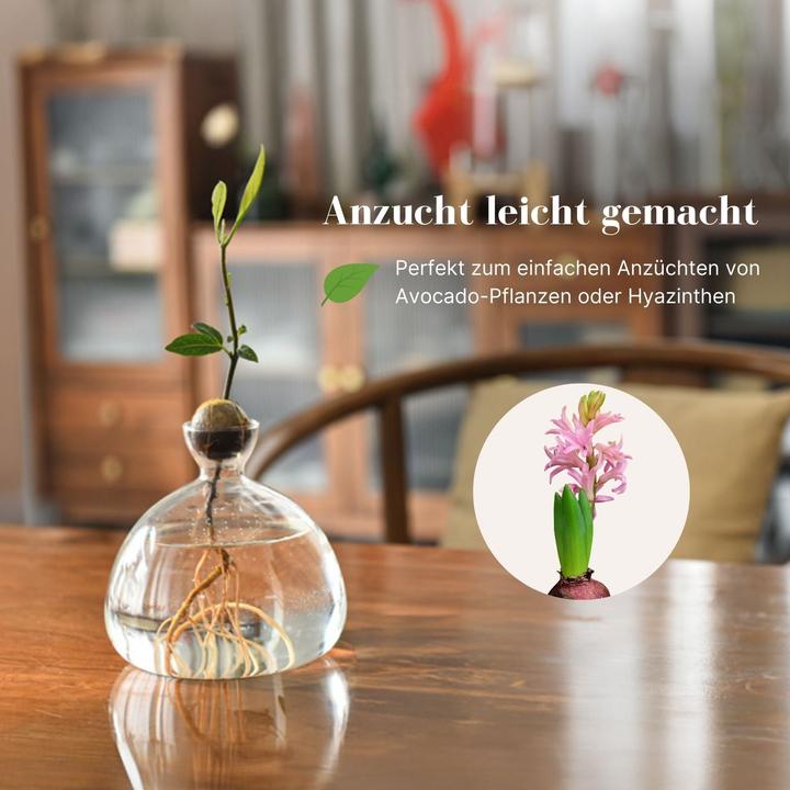 Actual product image Hermex Avocado flower pot (14 cm)