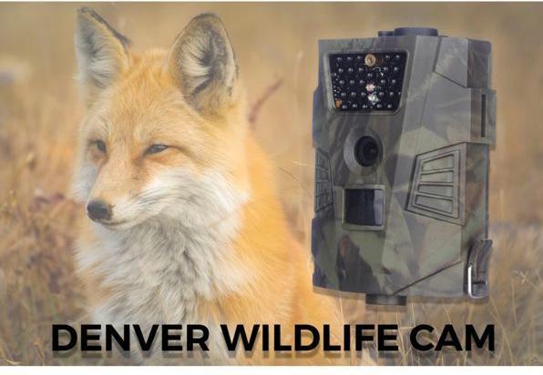 Actual product image Denver WCT-5001 Wildlife camera