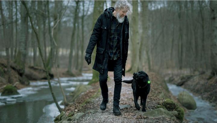 Image du produit Orbiloc Feu de sécurité à double LED (Taille unique, Chien, Général)