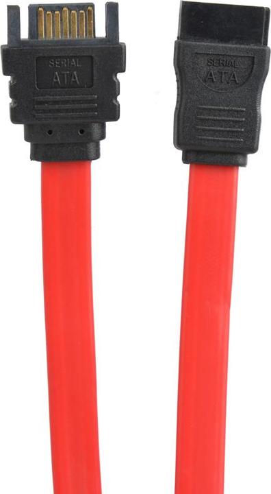 Image du produit Prokord Câble prolongateur SATA 0.3m 7 pin (30 cm, SATA)