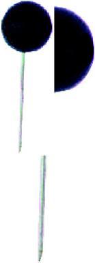 Actual product image Alco Map needles black