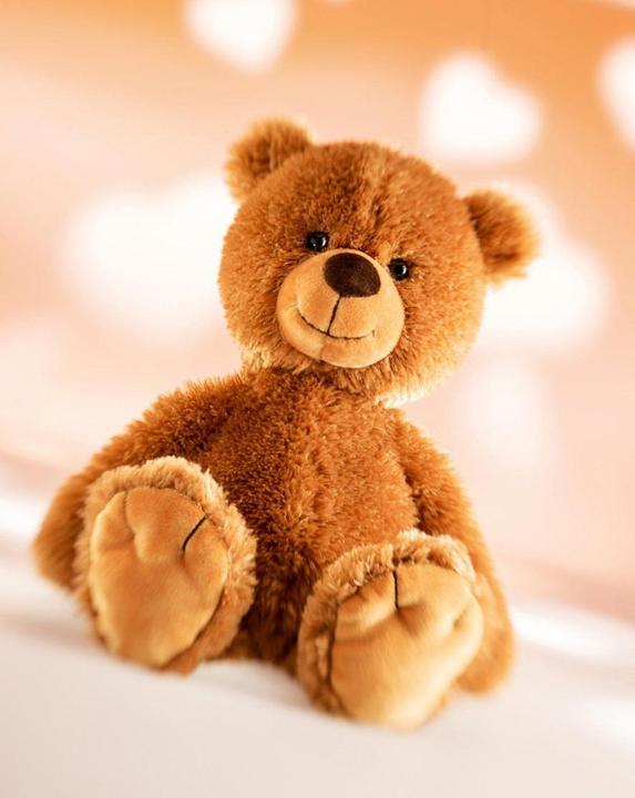 Image du produit Schaffer Teddy Tom (18 cm)