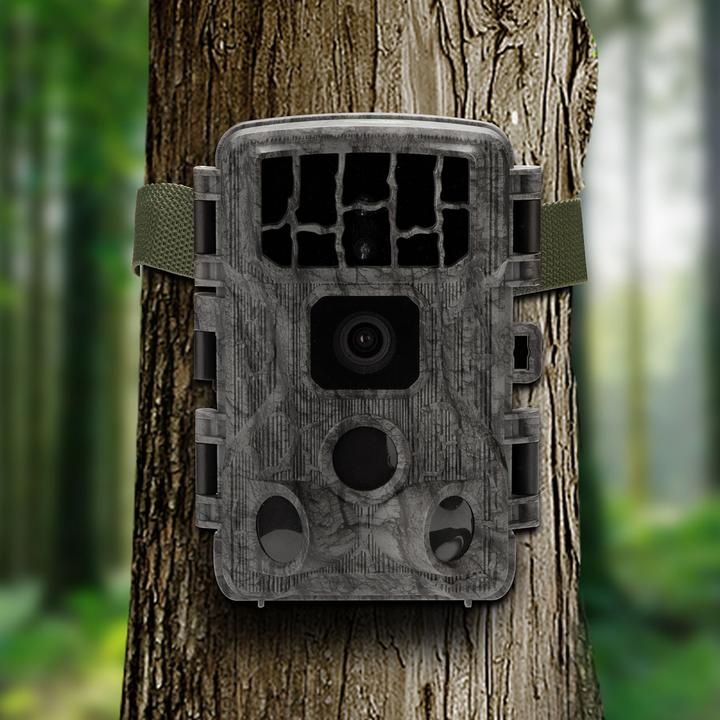 Actual product image Casativo 4K UHD wildlife camera, night vision, WLAN, PIR, standby 8 months, app, IP65