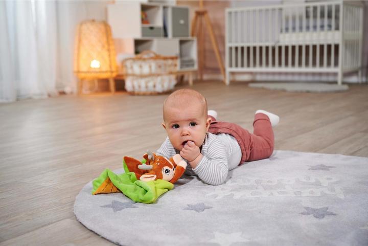 Actual product image ABC Forest Friends Cuddle Cloth