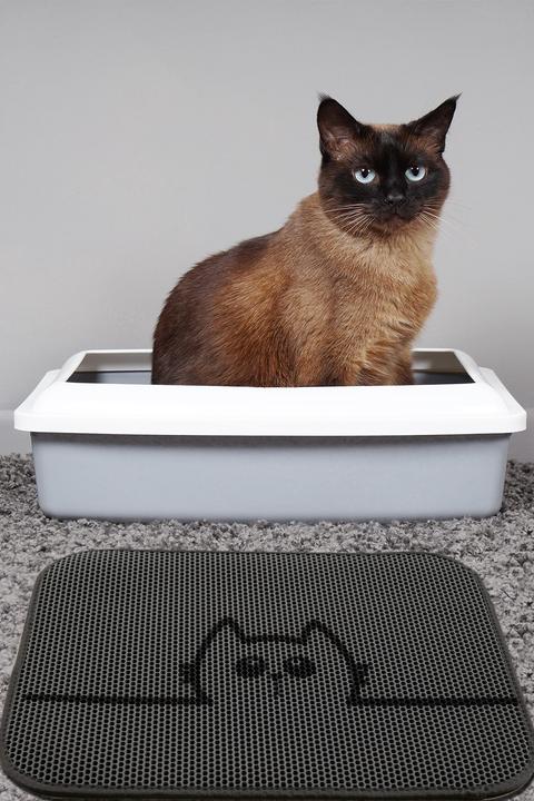 Image du produit Conceptum Hypnose Daisy