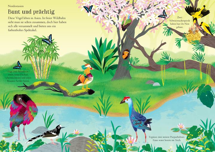 Produktbild Mein Immer-wieder-Stickerbuch: Vögel