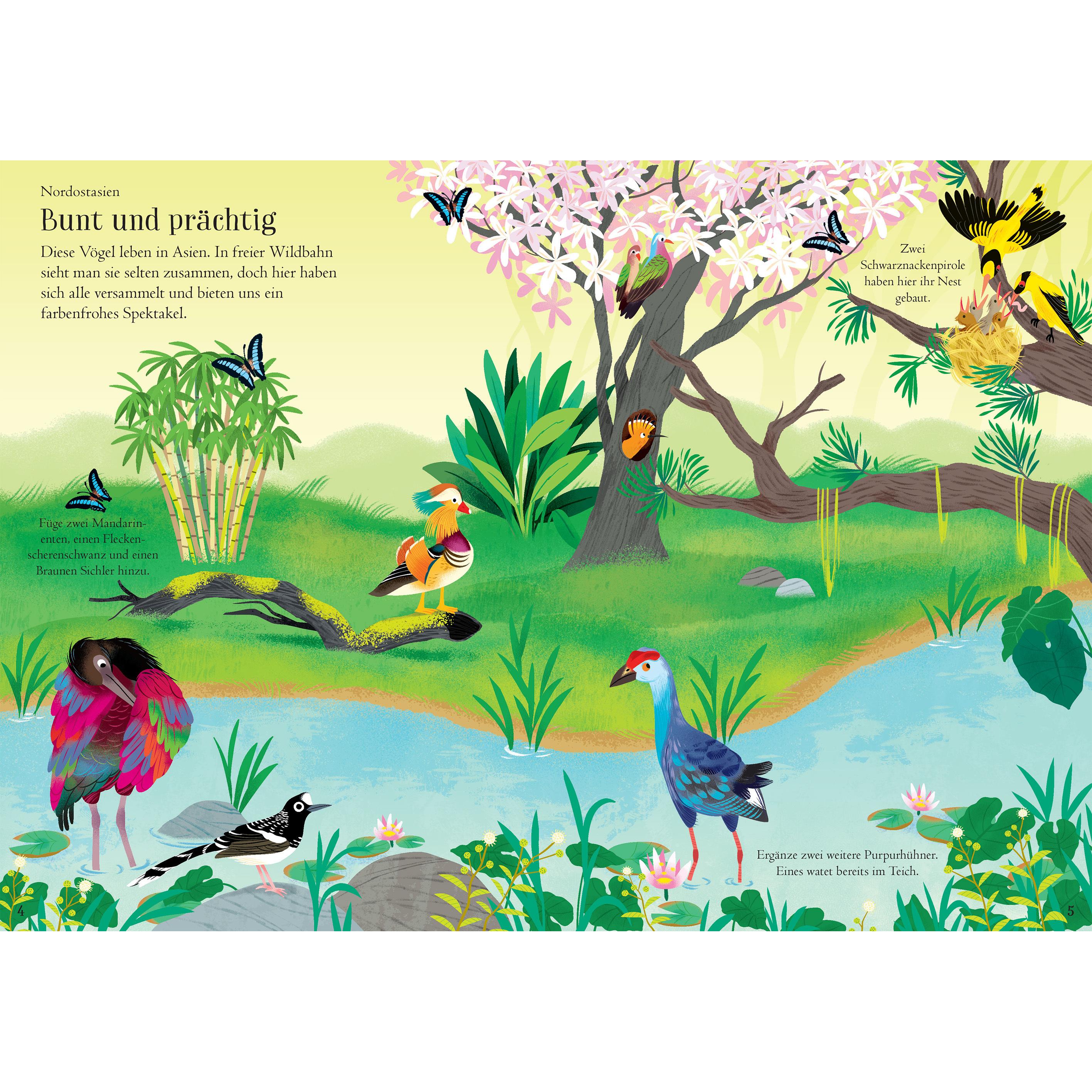 Thumbnail - Usborne Publishing, Sticker, Mein Immer-wieder-Stickerbuch: Vögel